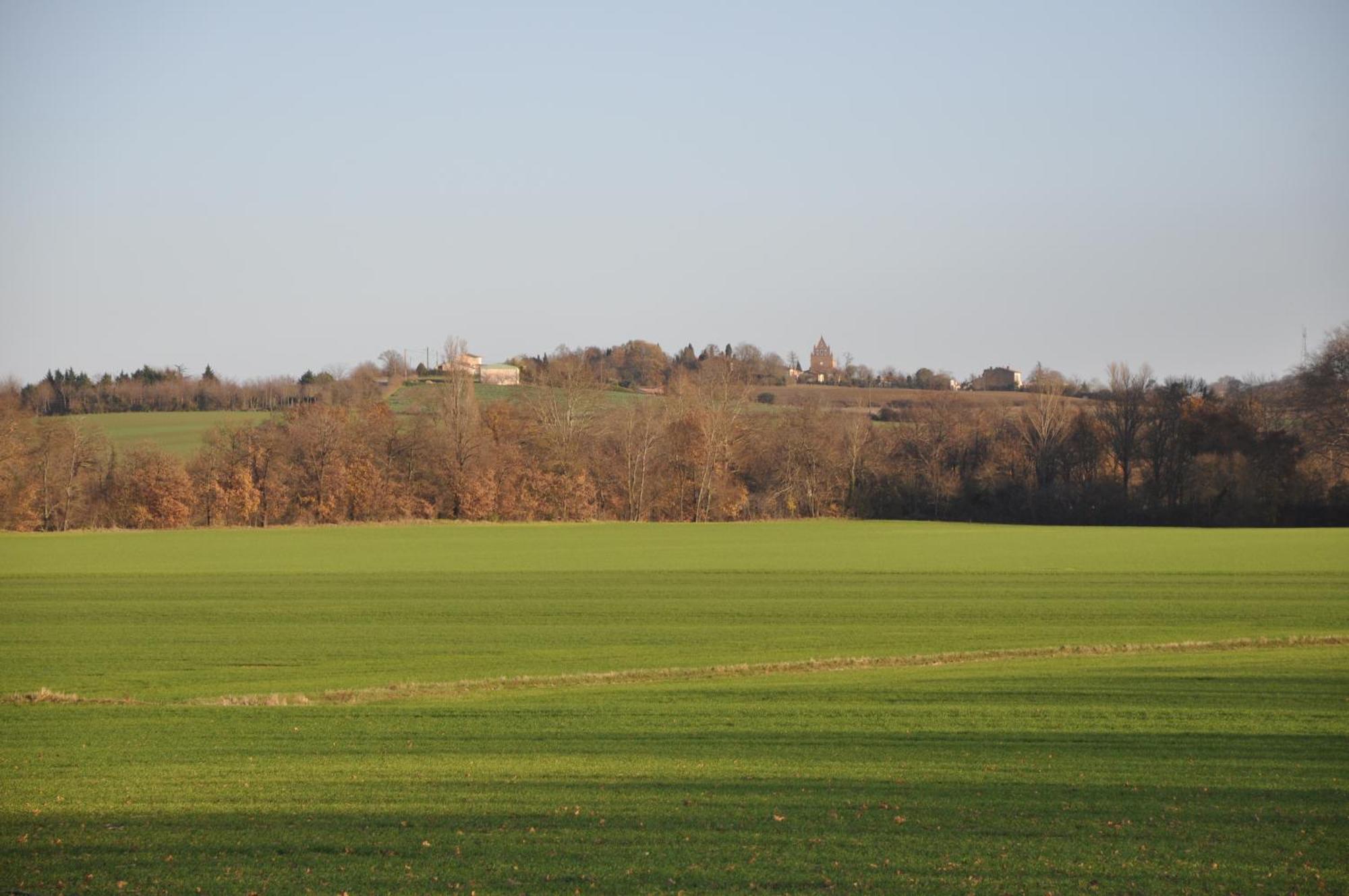 Domaine De Hurlevent Montgaillard-Lauragais Bagian luar foto